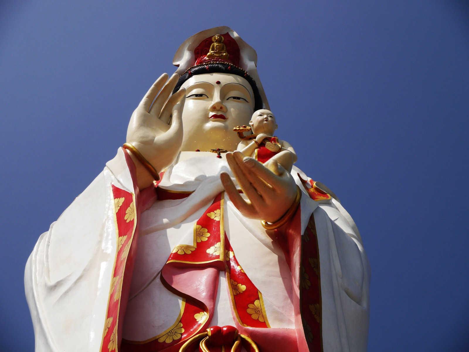 家宅绿意盎然，风水聚财有道——探究别墅院子里的旺财树种