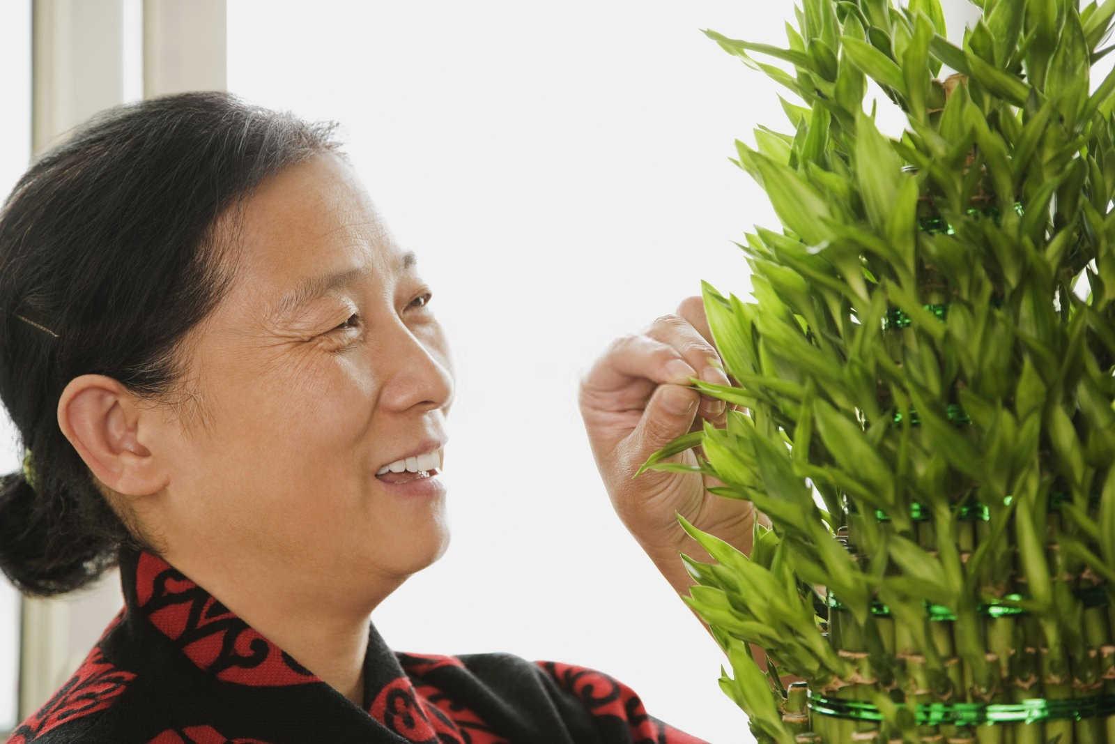 润泽家居：缺水风水的调和之道