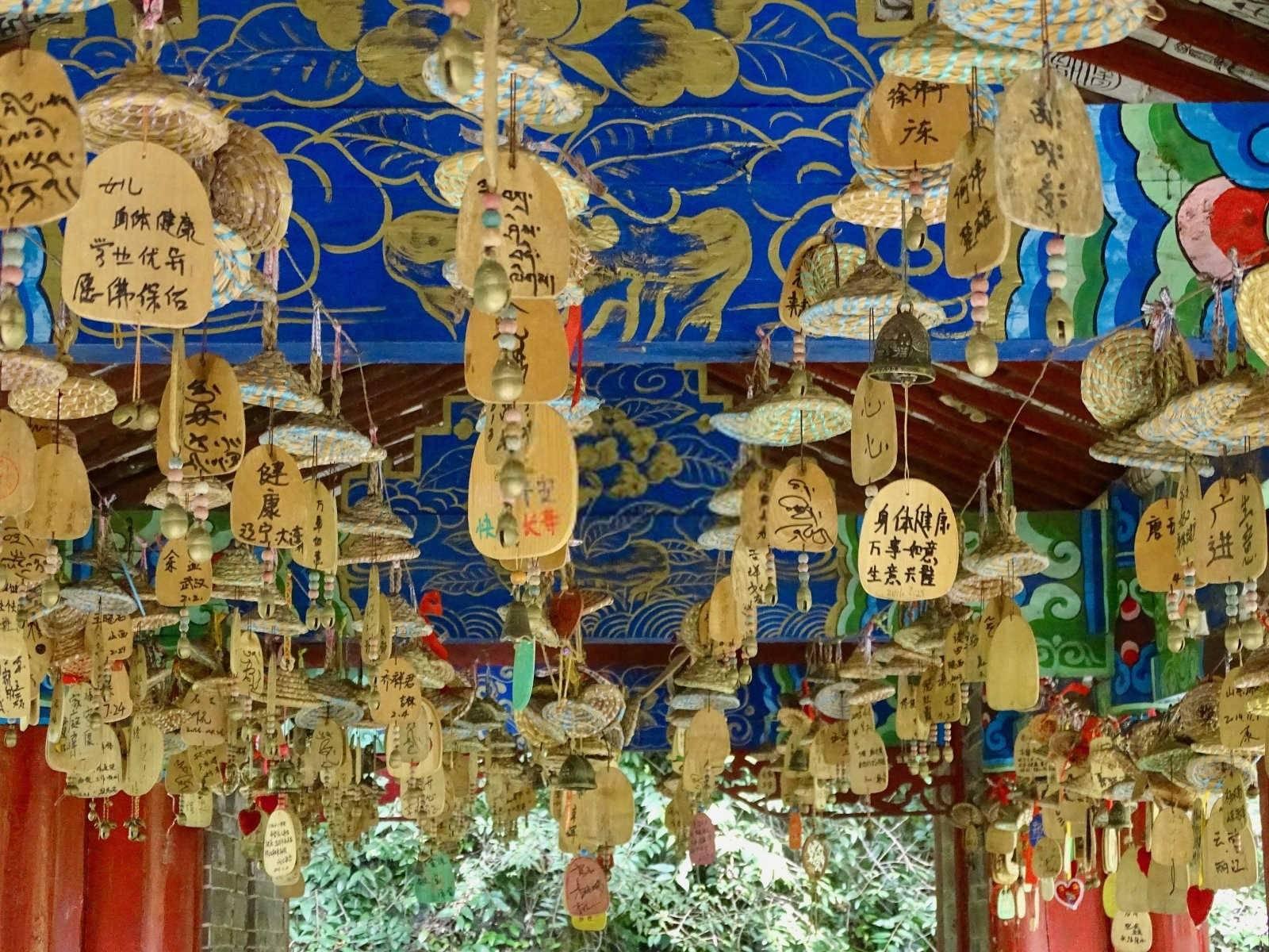 辣椒风水放客厅好吗？
