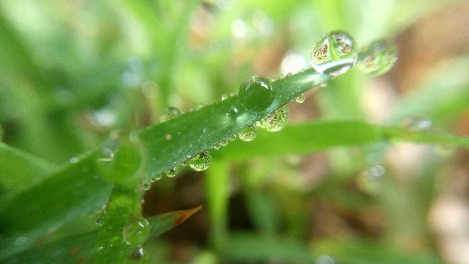风水宝典：破解房子风水不好的秘诀，让家人远离疾病