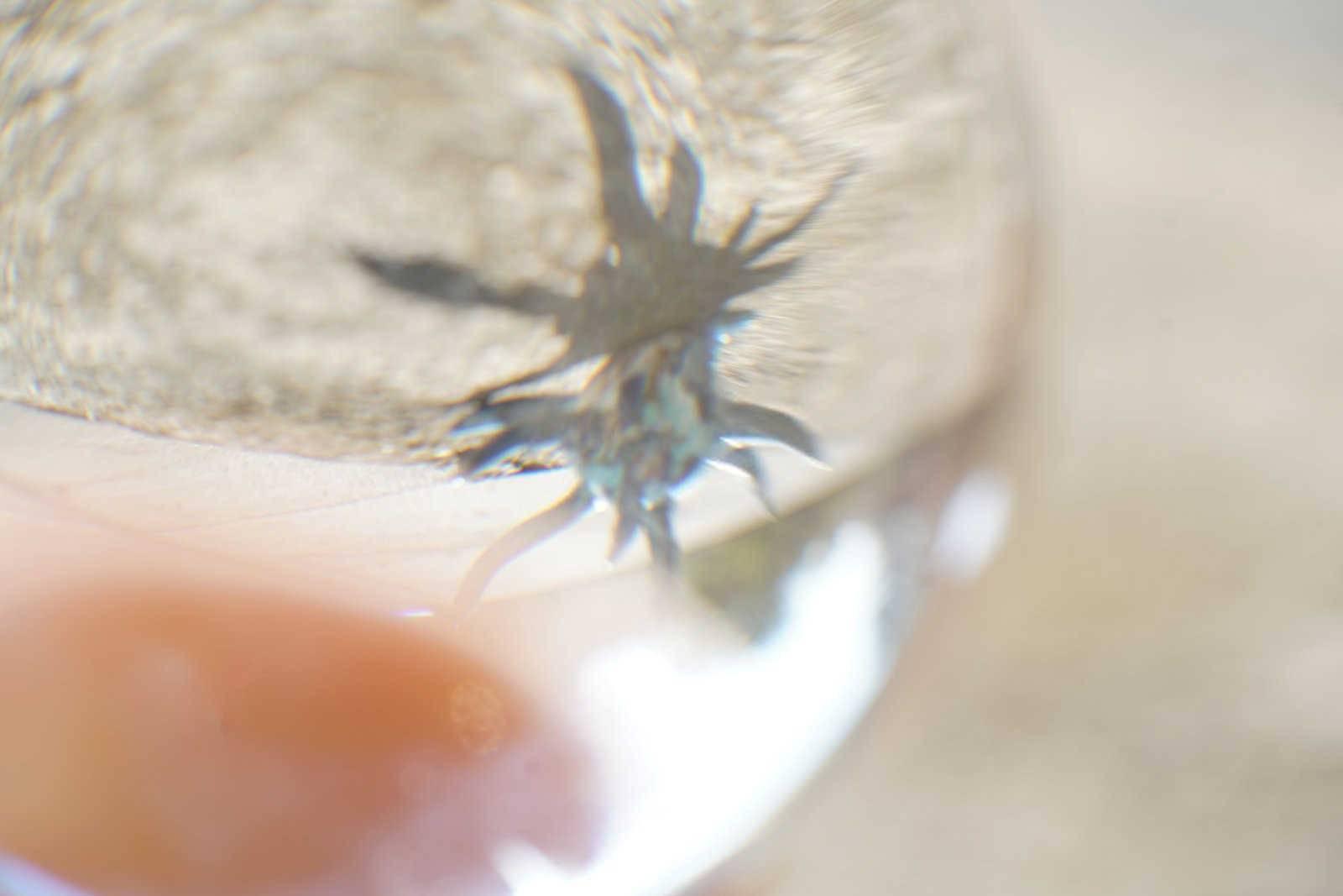 探究祖坟风水：世代影响与家族兴衰之道