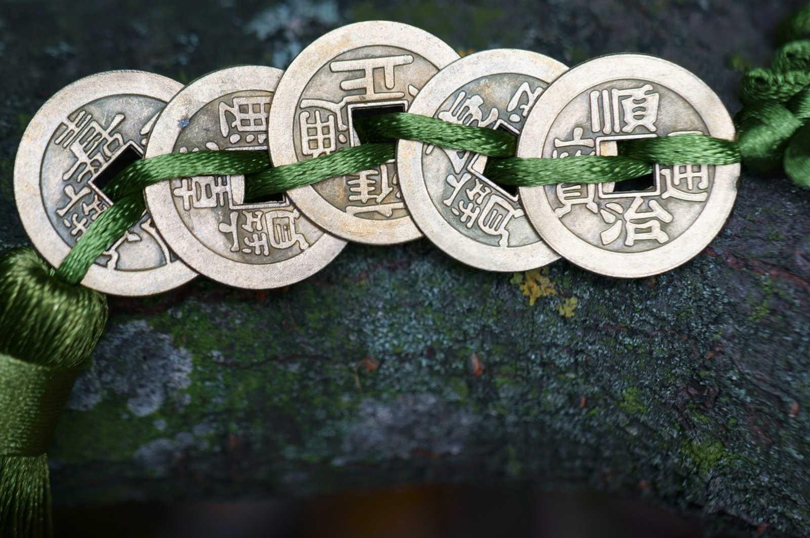 墓地有树根进金坛：风水学中的隐患与化解之道