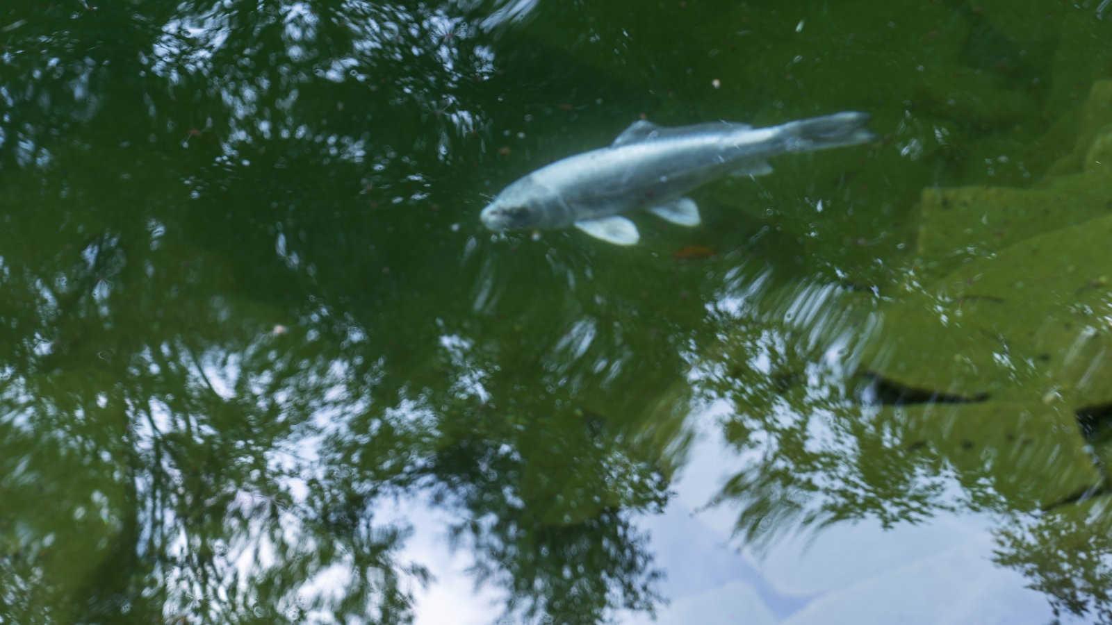 风水宝地：小区东边有河风水好吗？