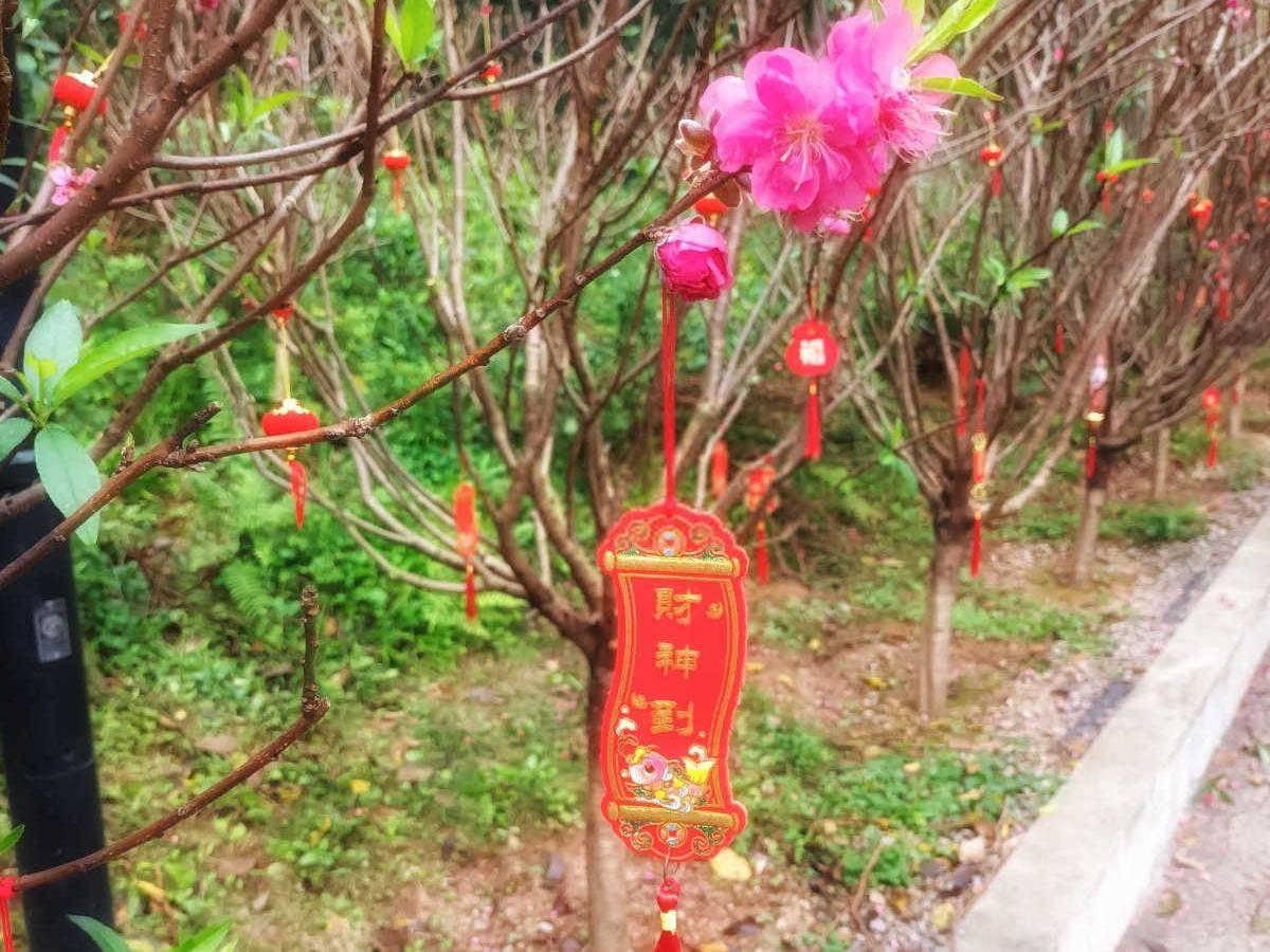 哪个星座看财运最好？