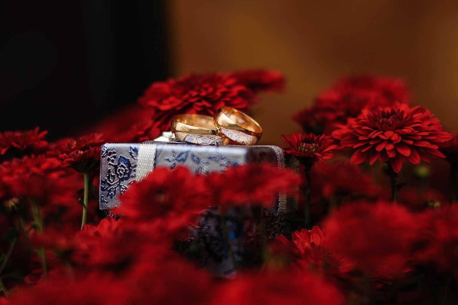 探究属龙一九八八男性的婚姻之路