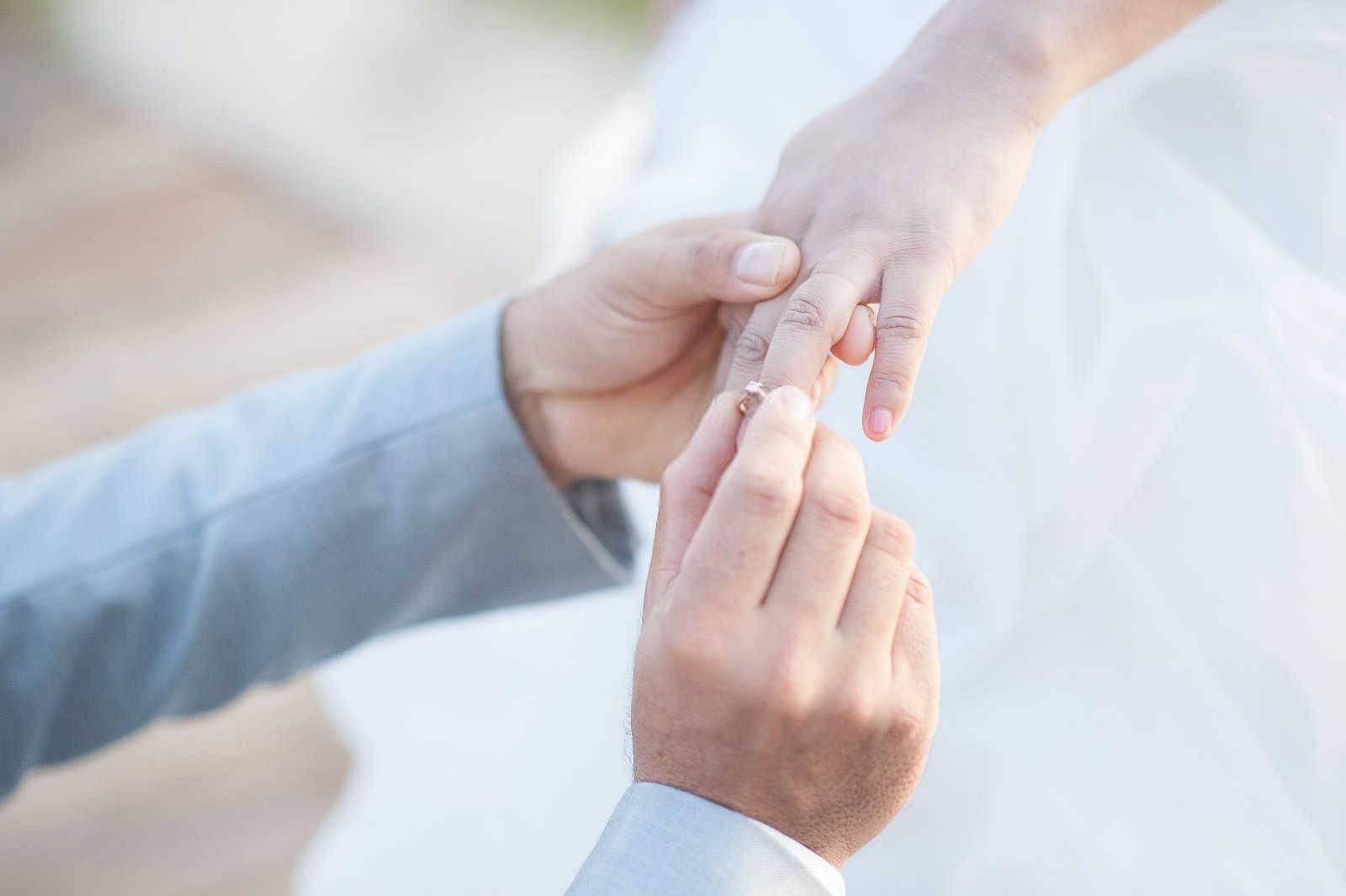 揭秘生肖配对：属猪人的婚姻良缘