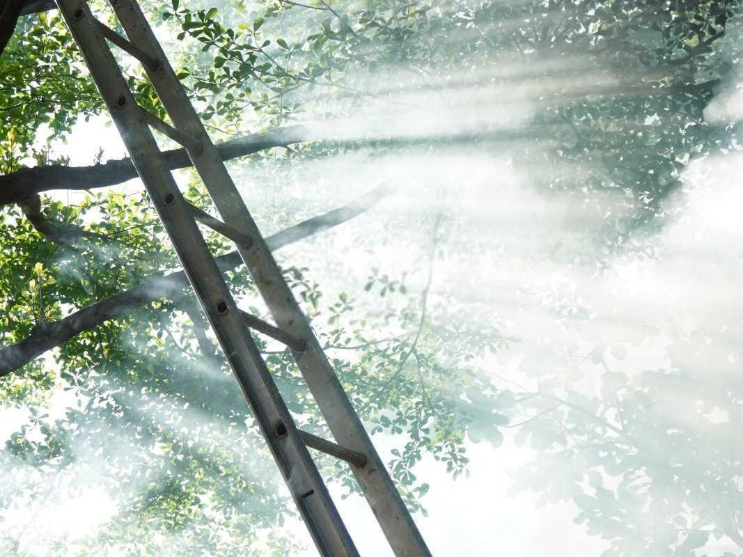 梦见父母双亡自己大哭是怎么回事？