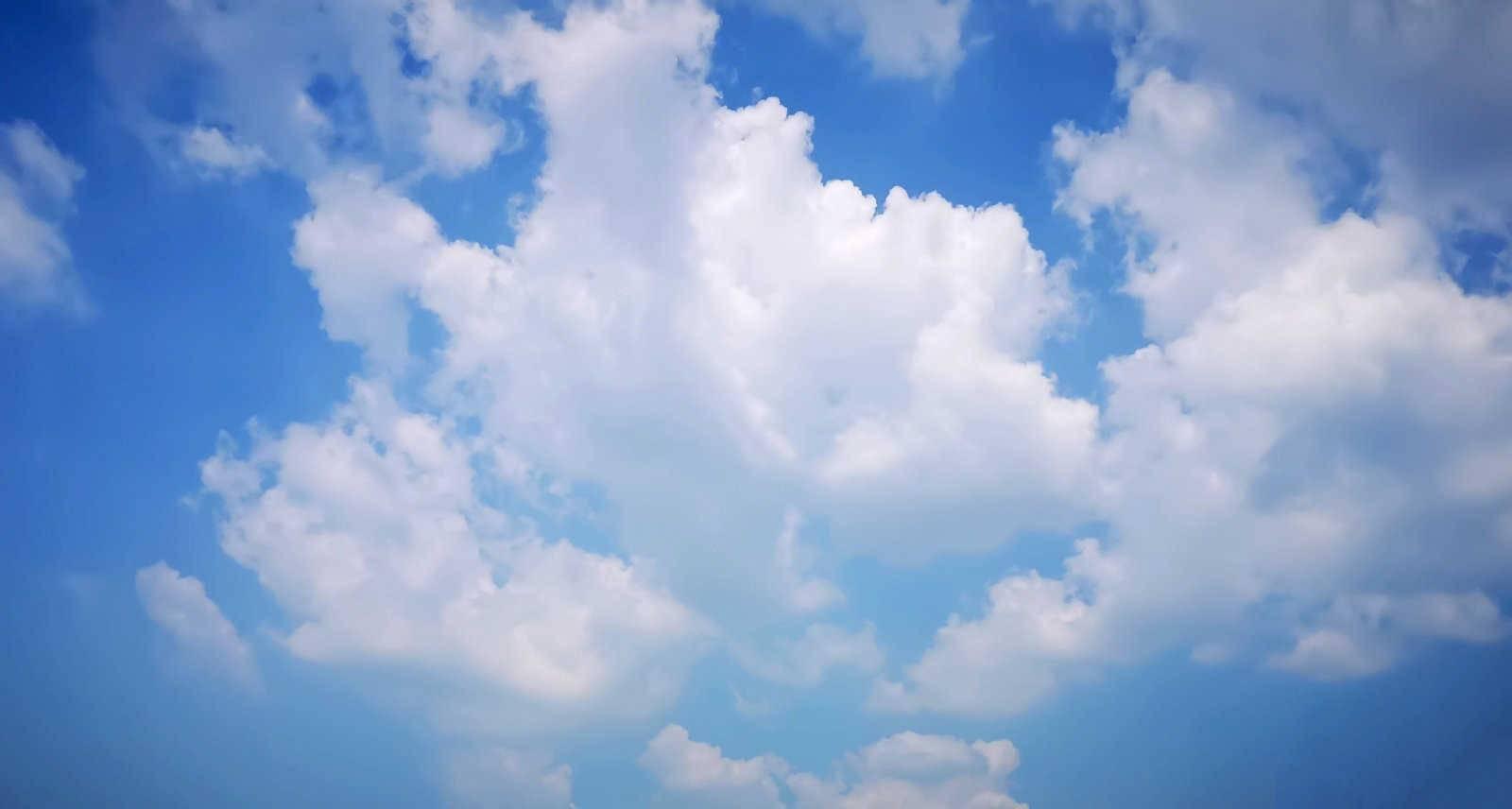 解梦探秘：梦见掰竹笋的深层含义