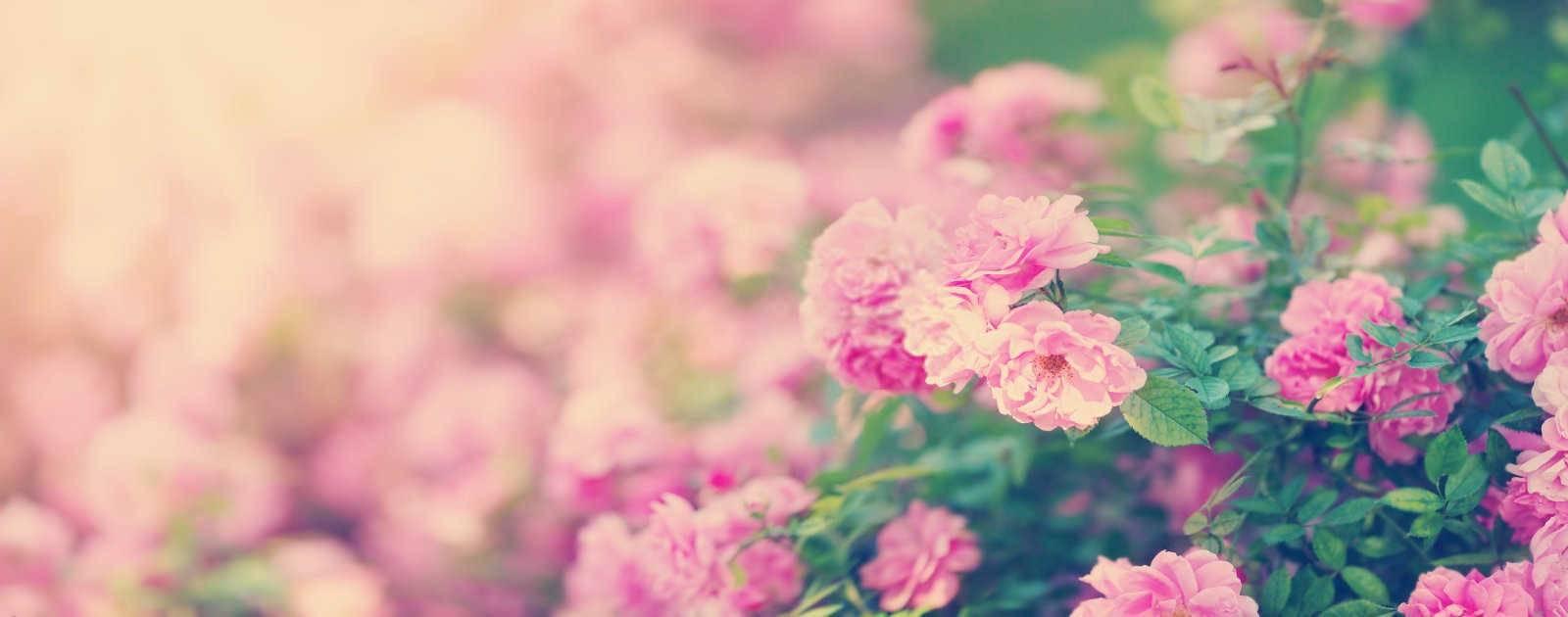 梦见蜡烛点不着是什么意思？