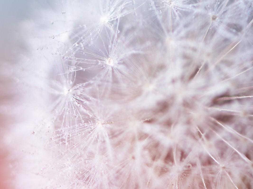 梦境的涟漪：解析梦中洪水的深层含义