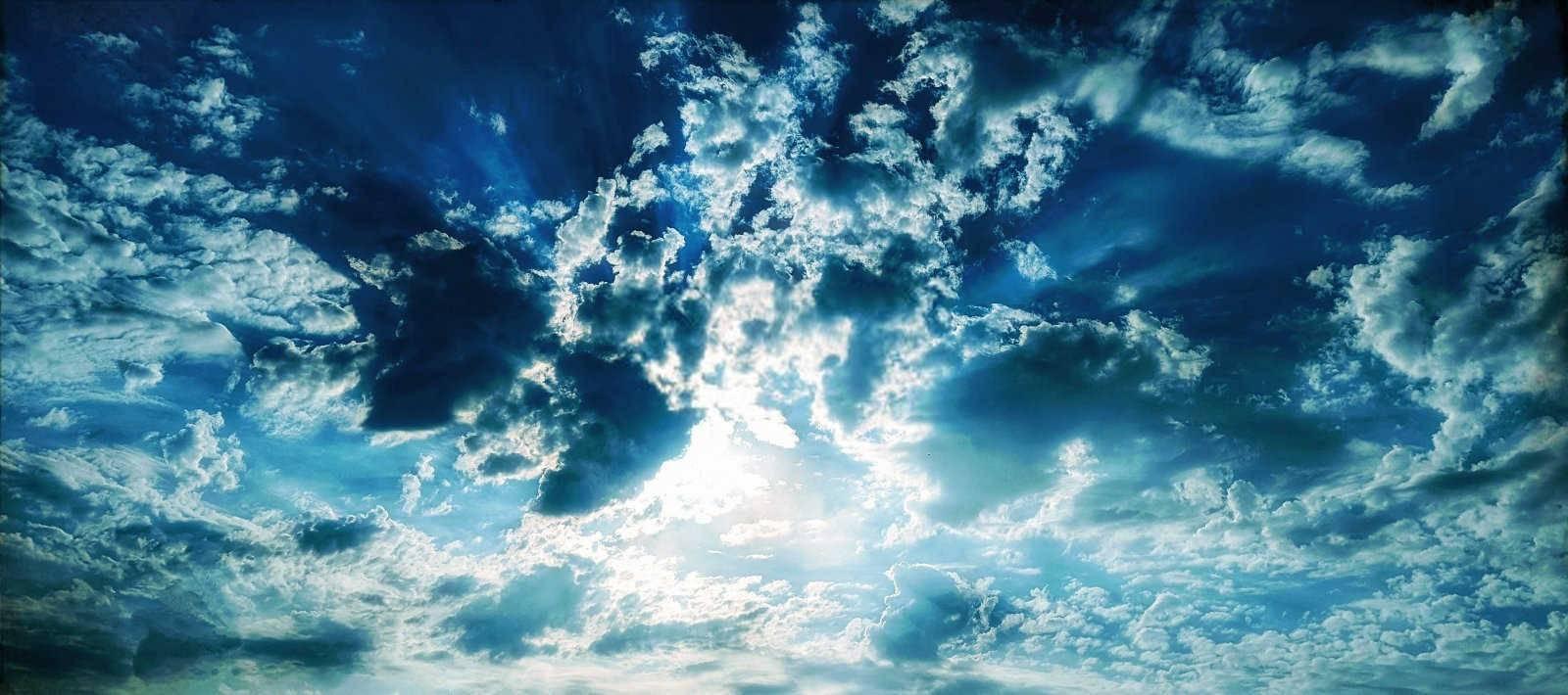 梦见菊花什么意思？