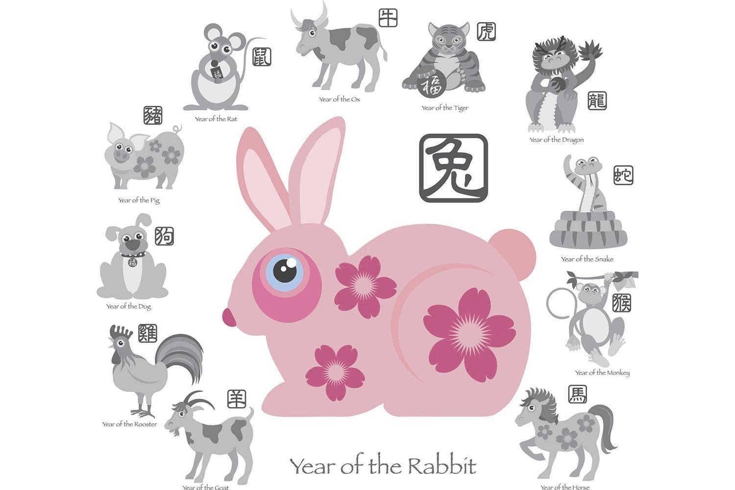 十二生肖哪个属相的人最笨？