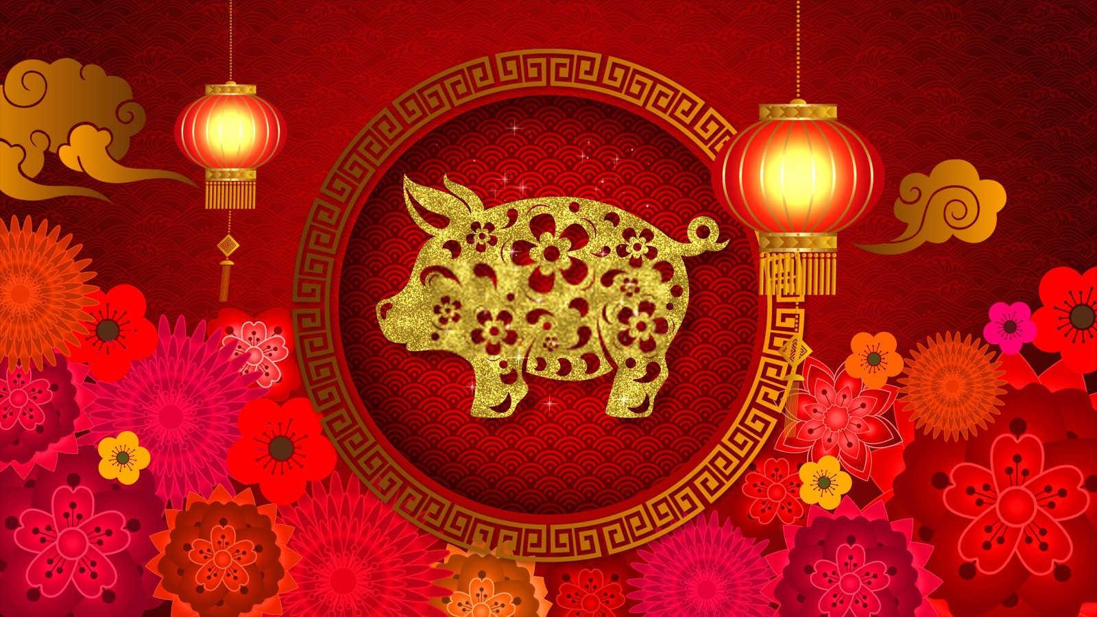 2015什么生肖？