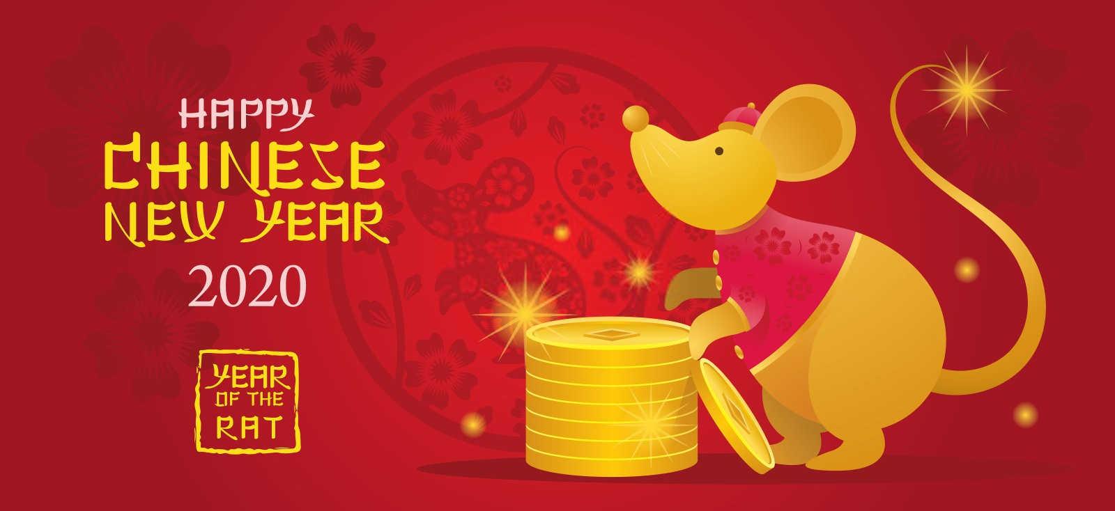属猪与属狗：天作之合还是性格迥异？