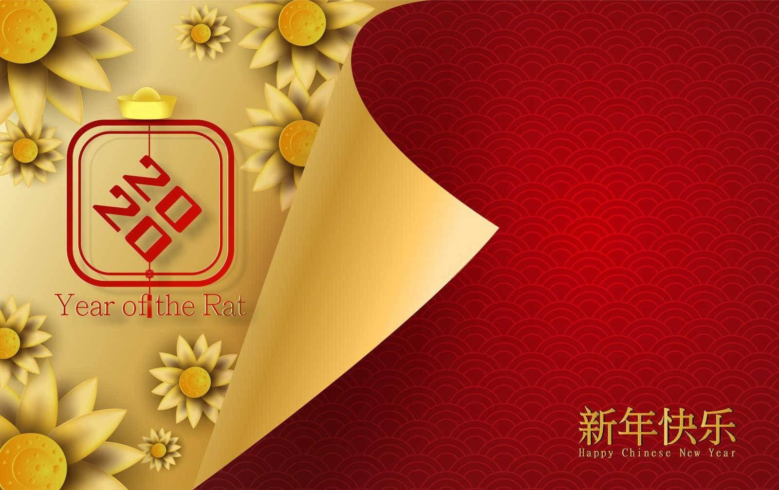 为什么94年属狗男孩难找对象？