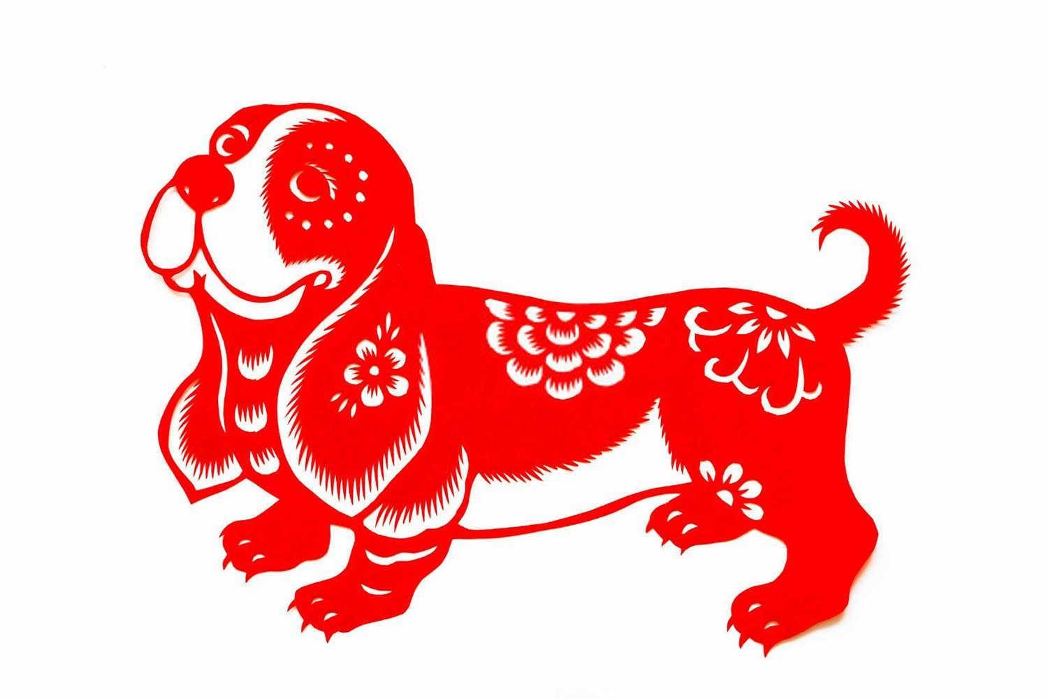 属鼠人的命运探秘：智慧与机遇的交织