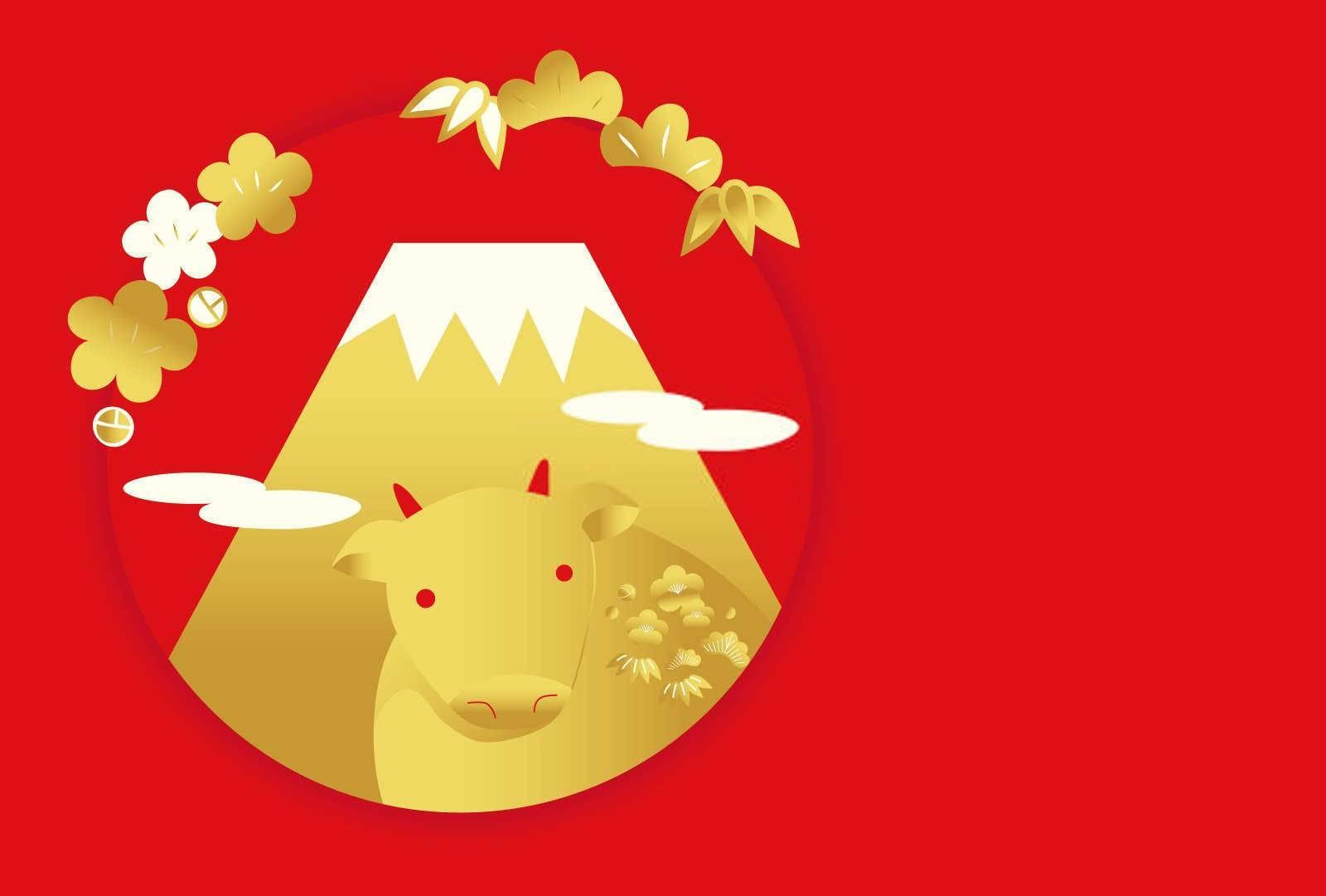 什么属相人适合养猫？