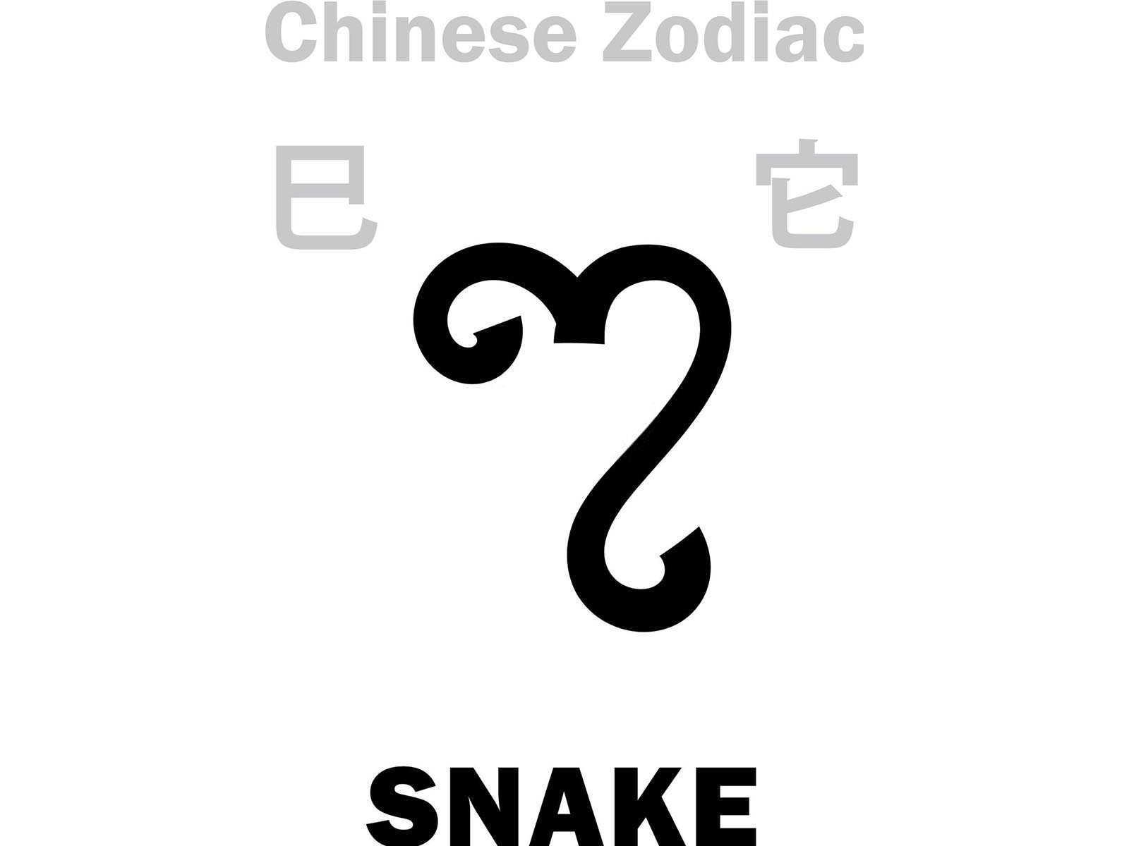 蛇与谁携手共度良缘：探索生肖婚姻的奇妙配合？