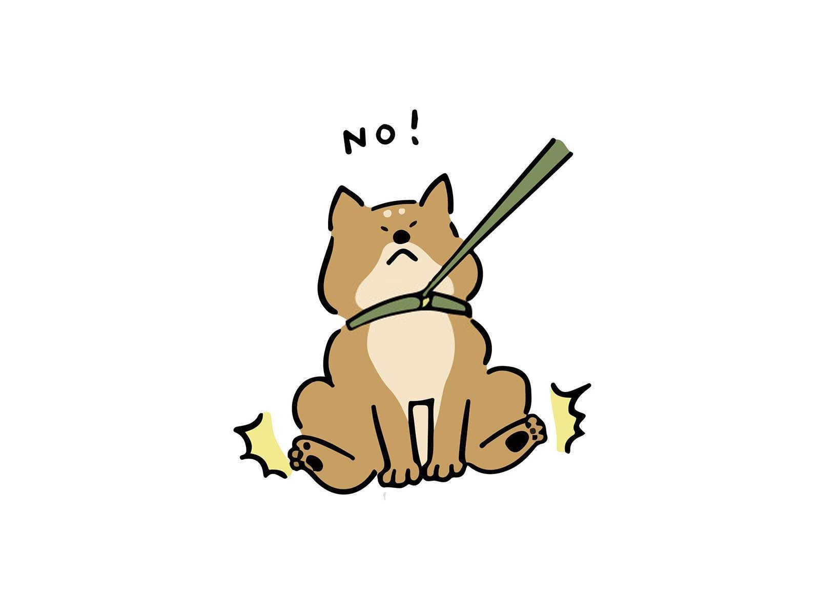 什么属相人适合养猫？