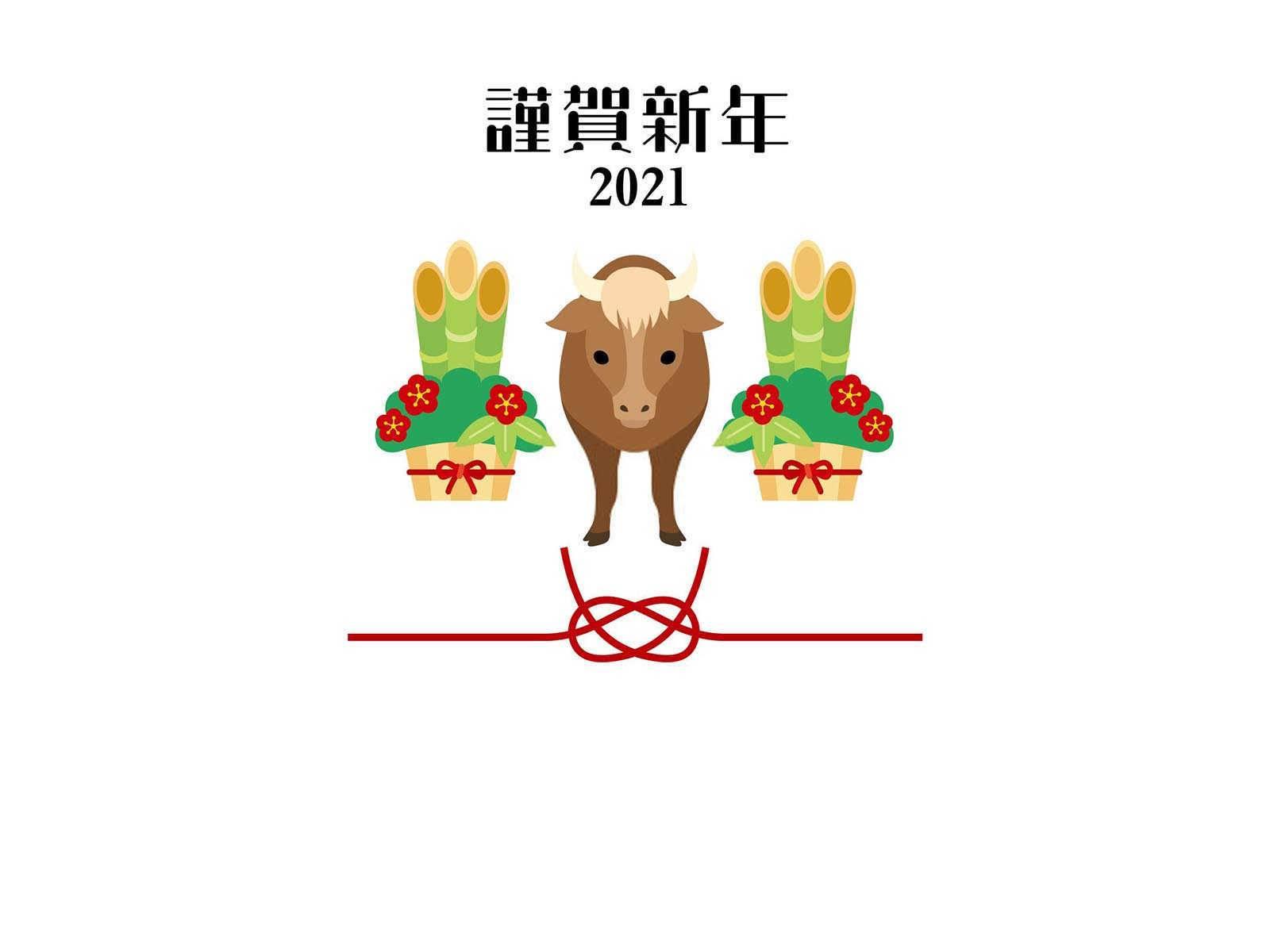 属虎的命硬什么意思？