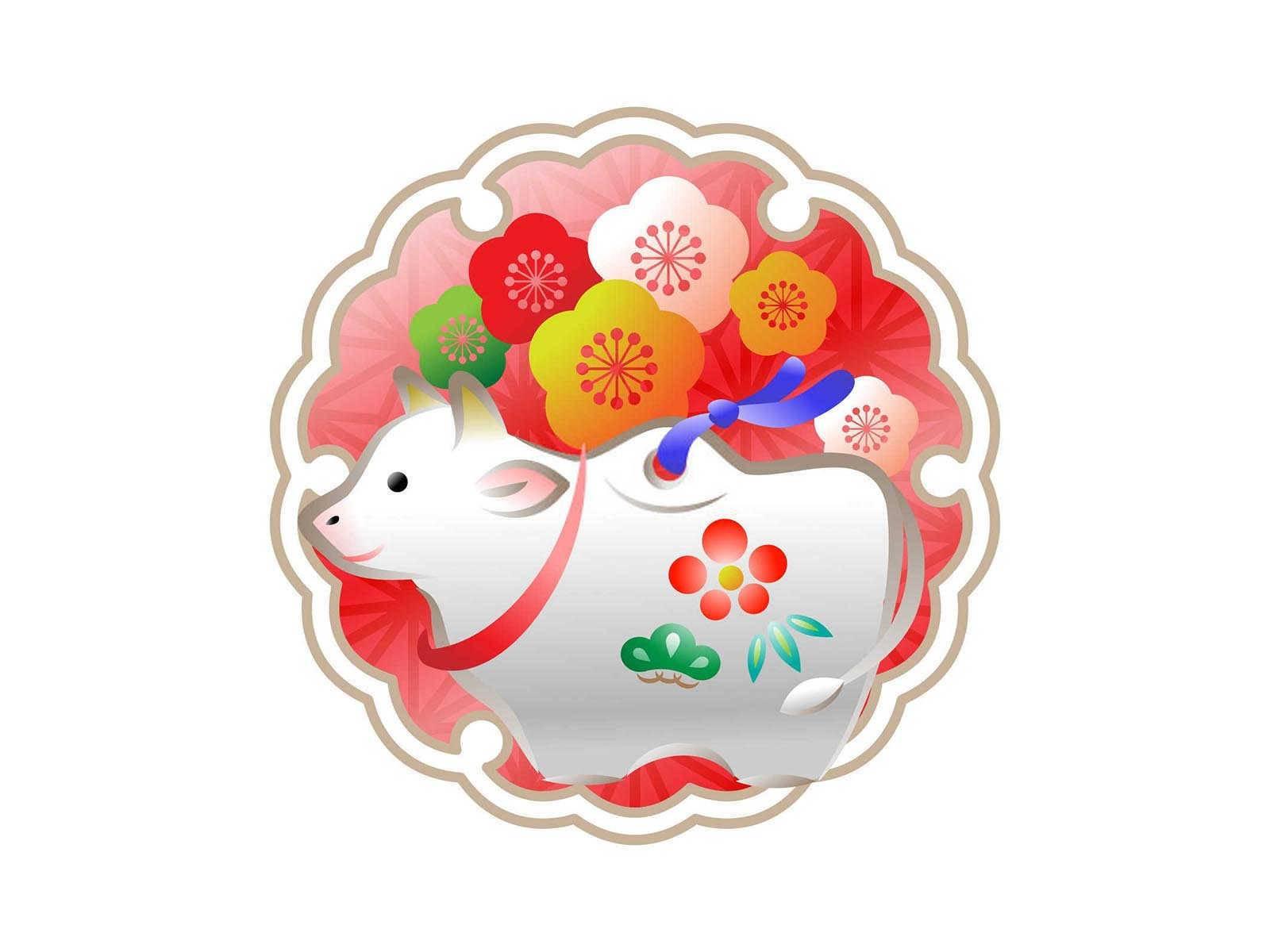 属狗几月最好？