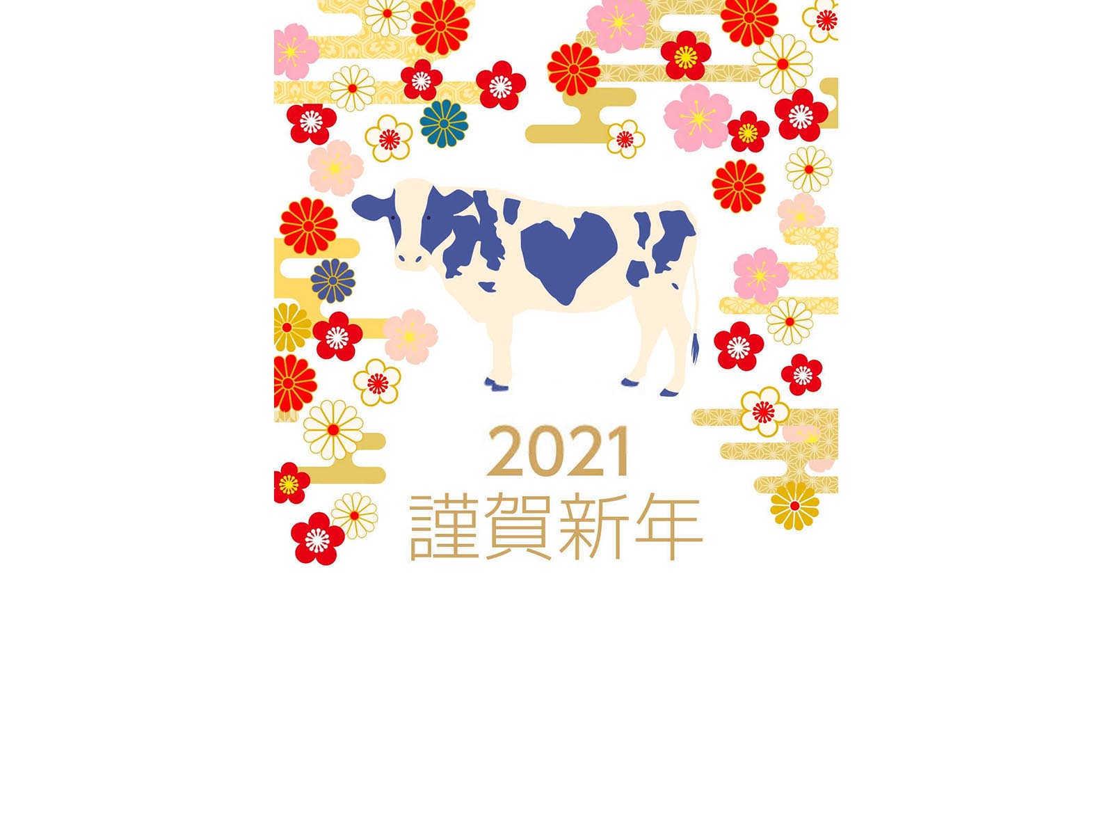 2024什么年生肖年？