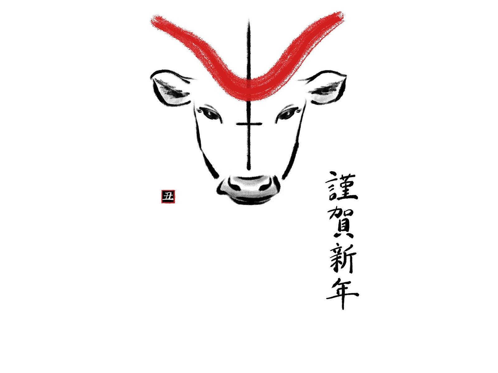 哪个属相不能养巴西木花？