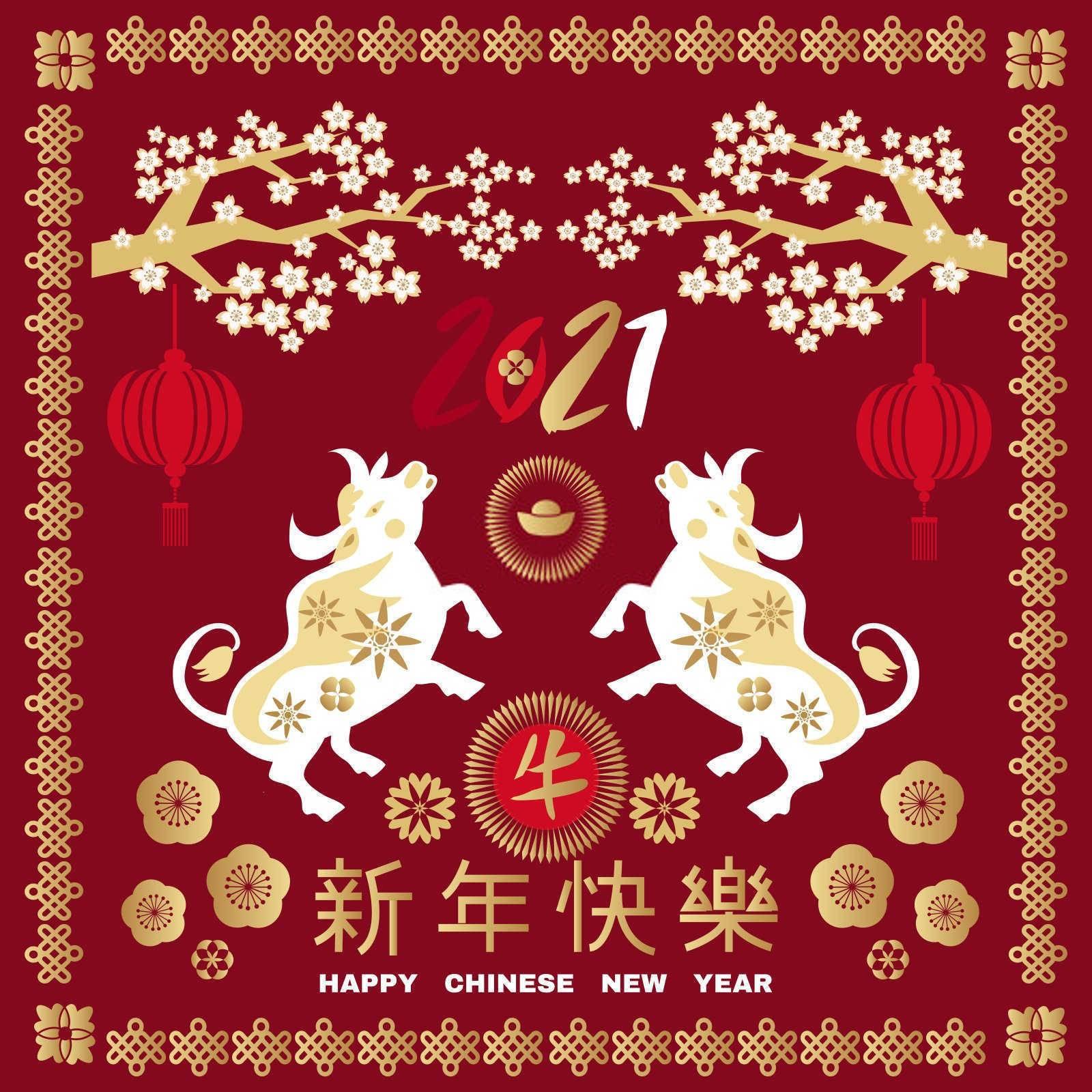 猴与什么生肖最适合？