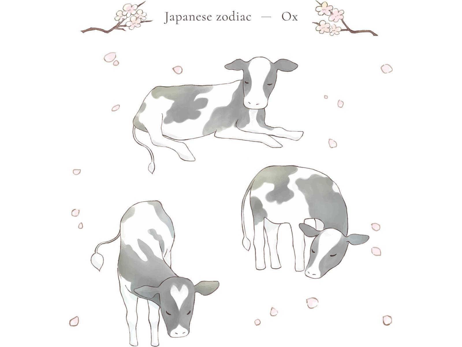 晚年最好的生肖有哪些生肖？
