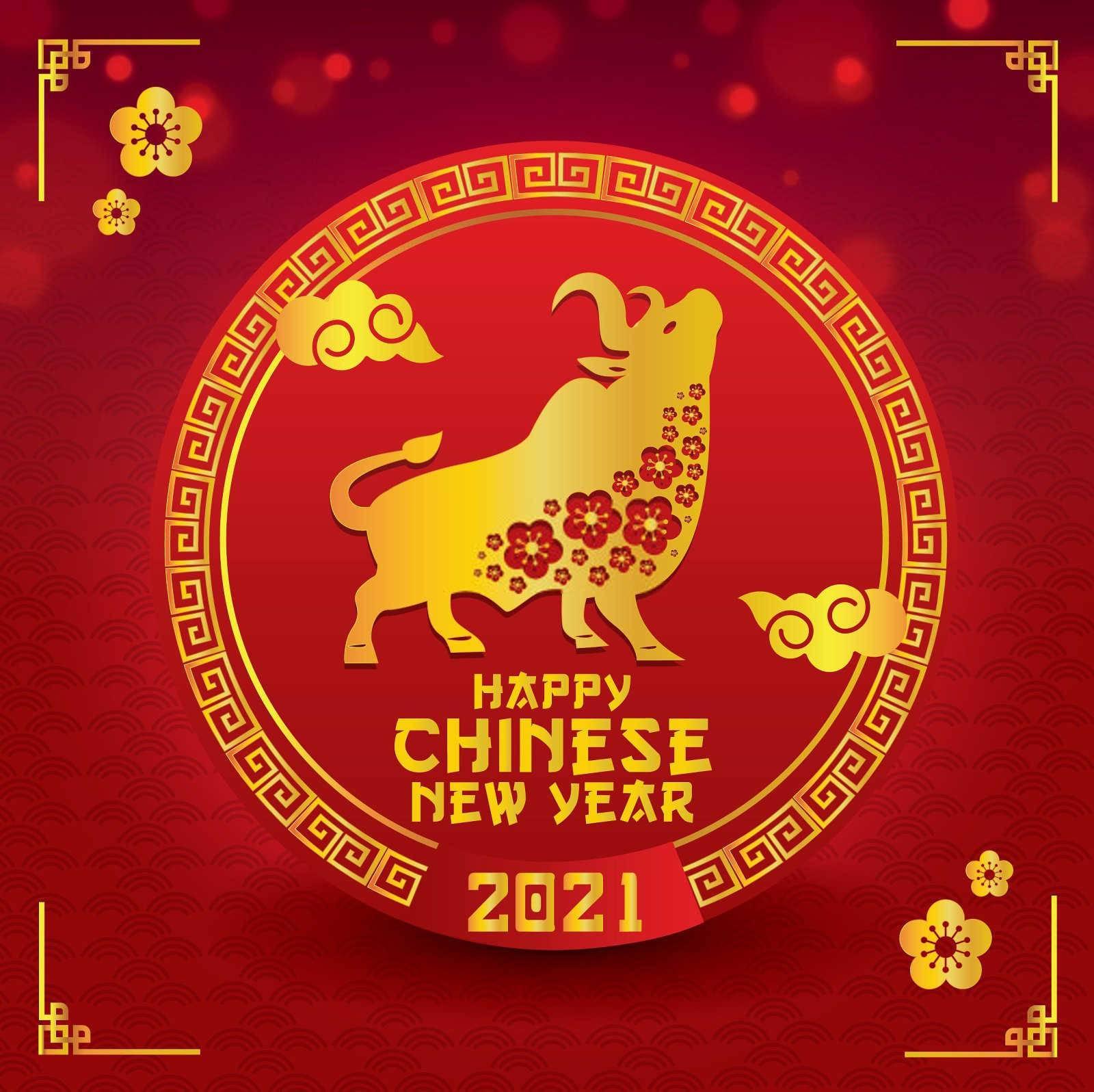揭秘生肖财富榜：究竟哪个属相的女性财运最为旺盛？
