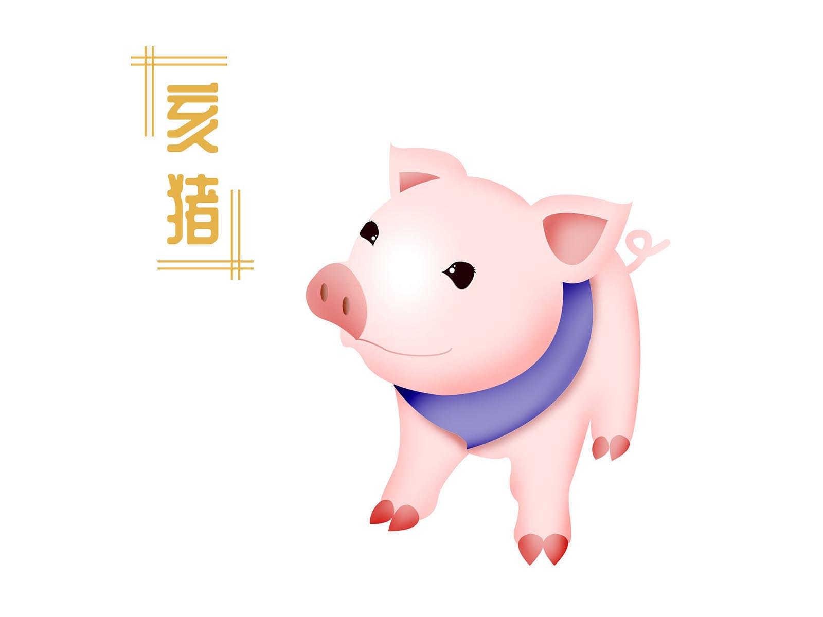 47年属什么生肖？