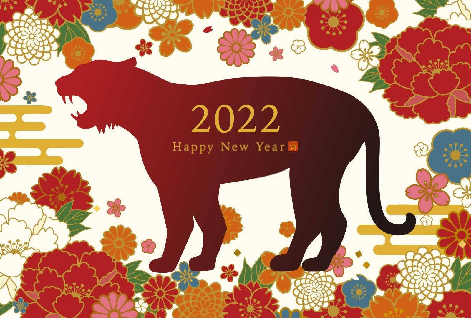 2025年属什么生肖五行属什么？