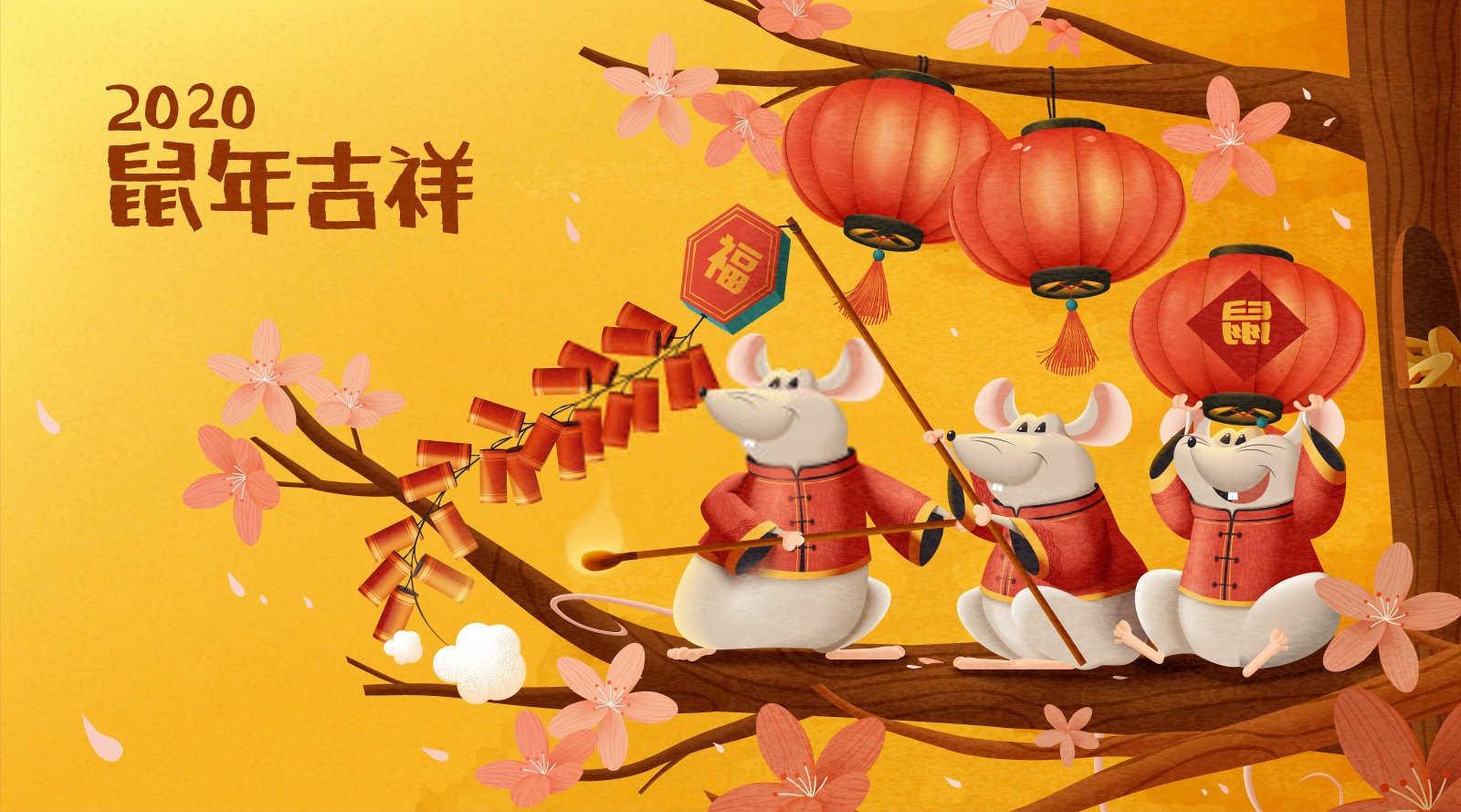 属马女的事业舞台：追风的她们适合哪些跑道？