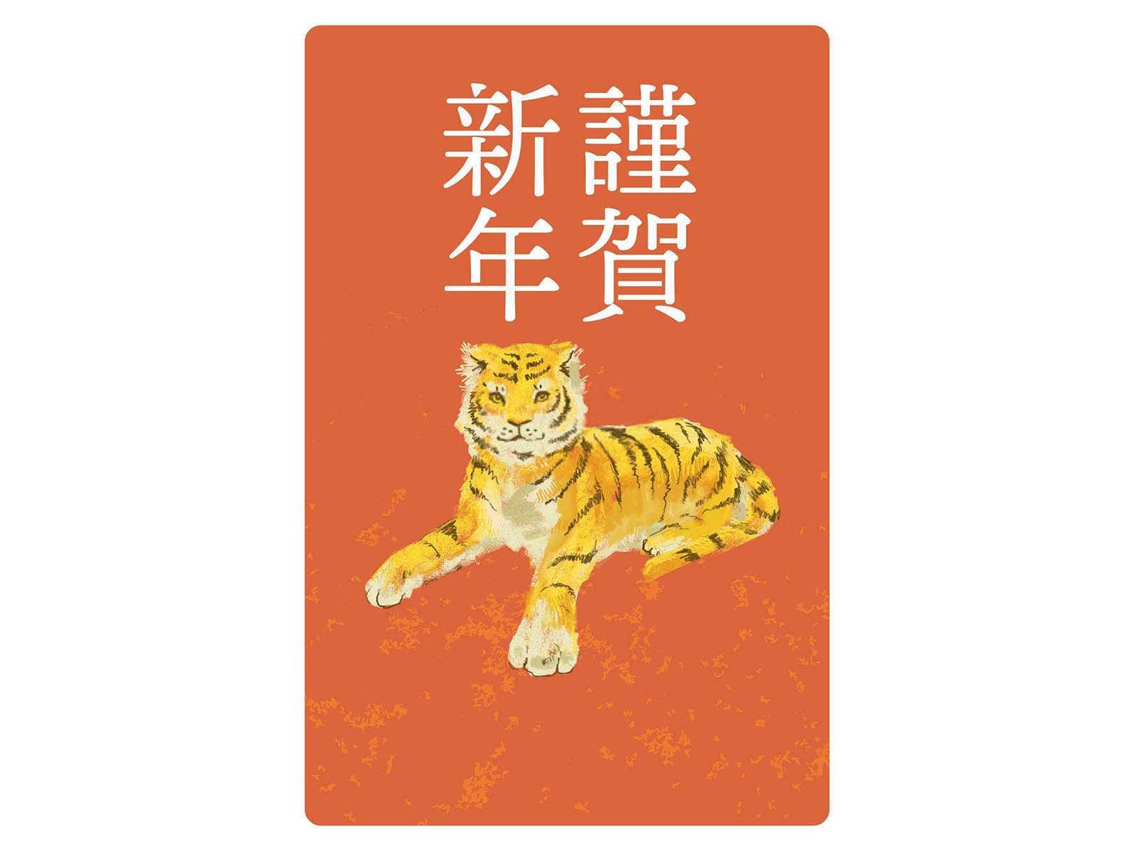 属猪和什么相冲？深度解析十二生肖的神秘对立