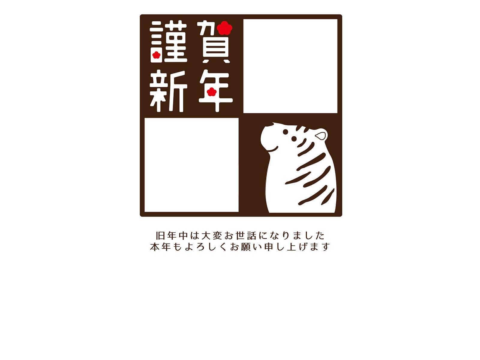 什么属相人适合养猫？