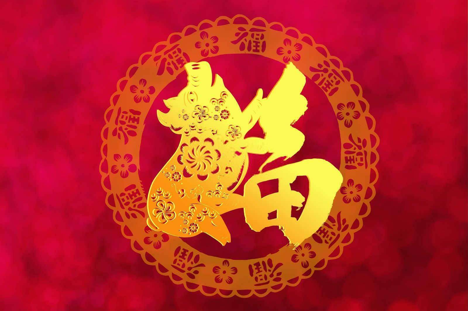 为什么94年属狗男孩难找对象？