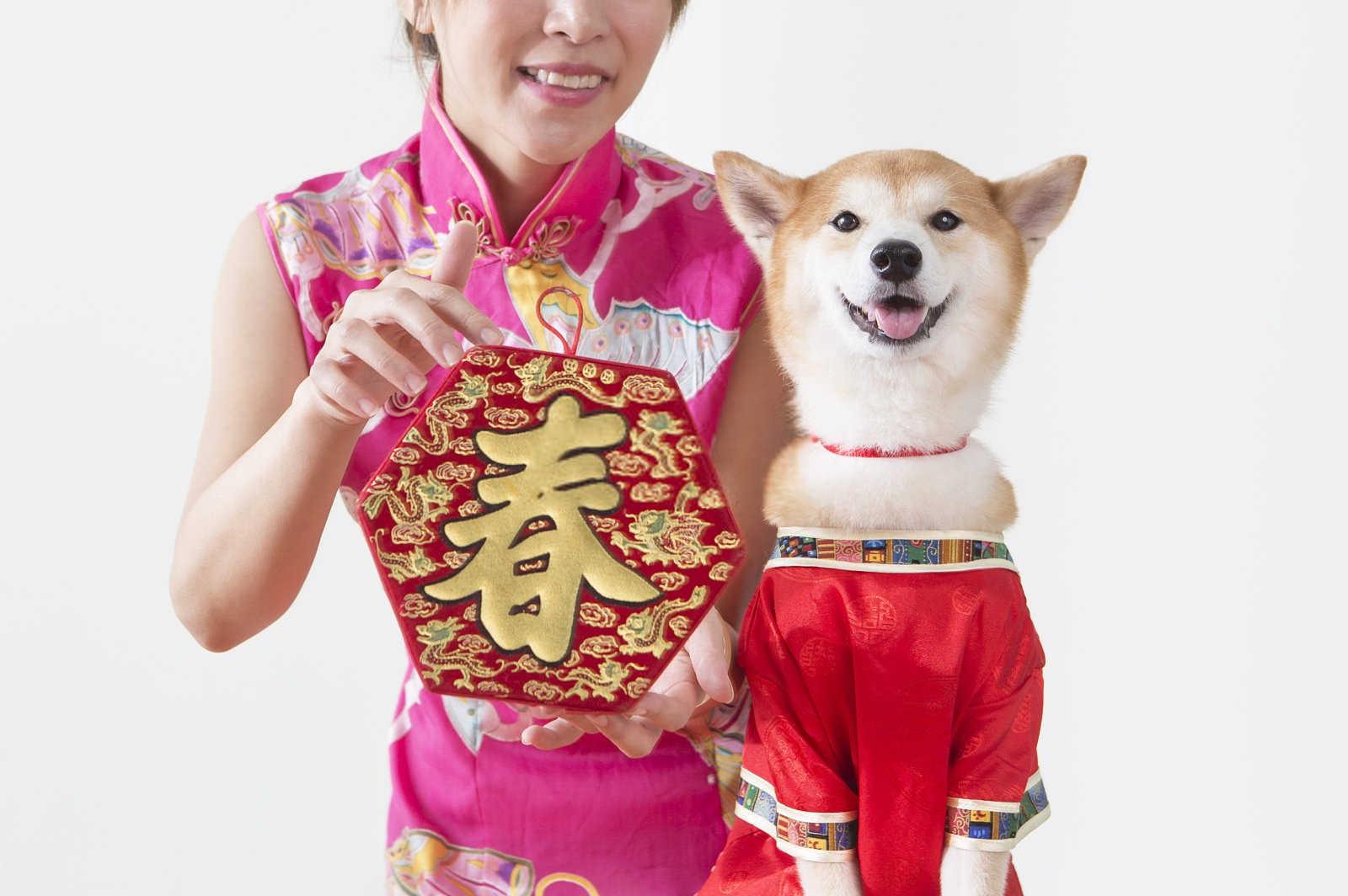 十二生肖哪种属相命好？