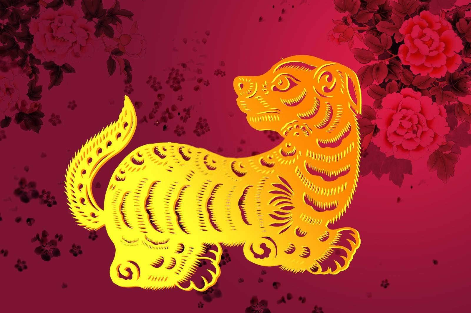 属虎女孩的黄金出生月份：传统与现代观点的交汇