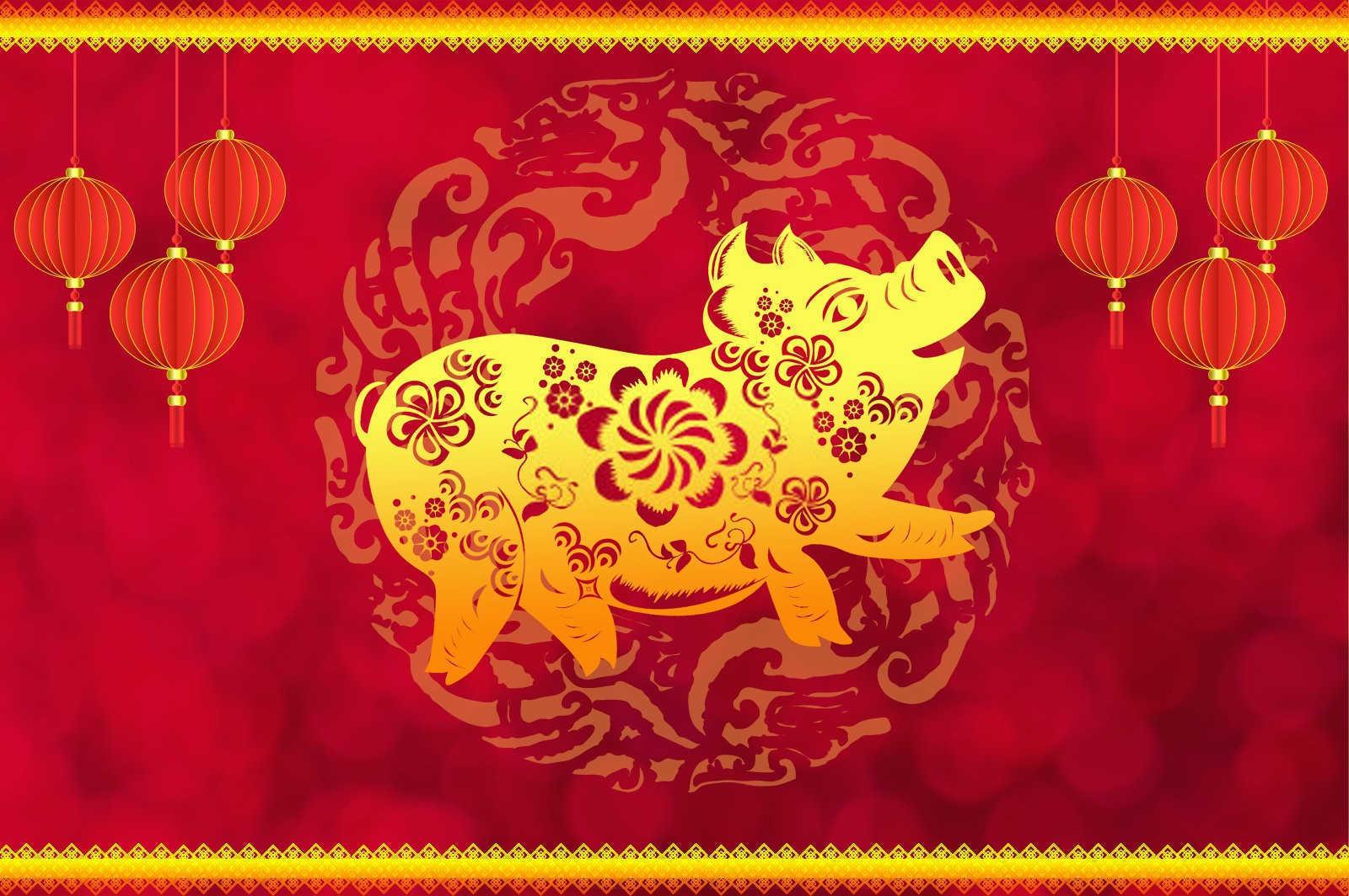 画肖指什么生肖？