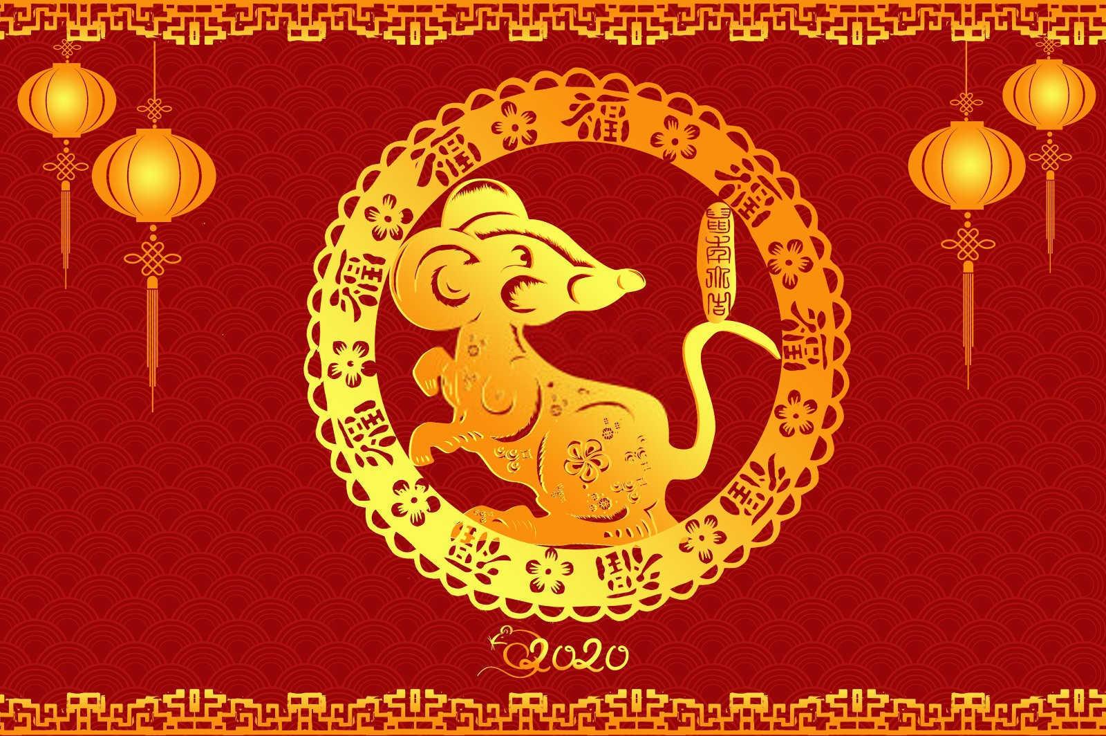 什么属相不能养猫？