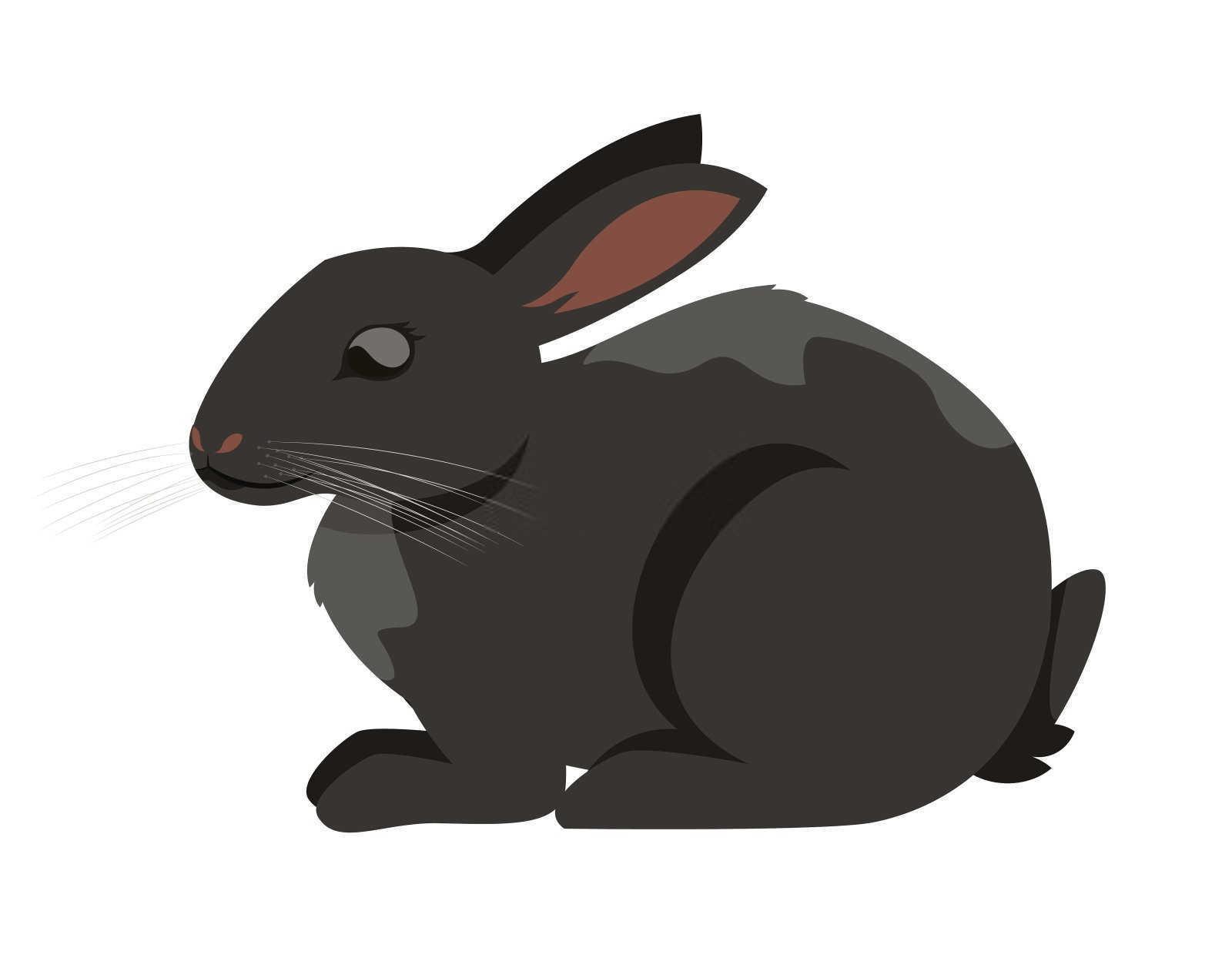 揭秘属猪人的出生月份：命运与性格的交织