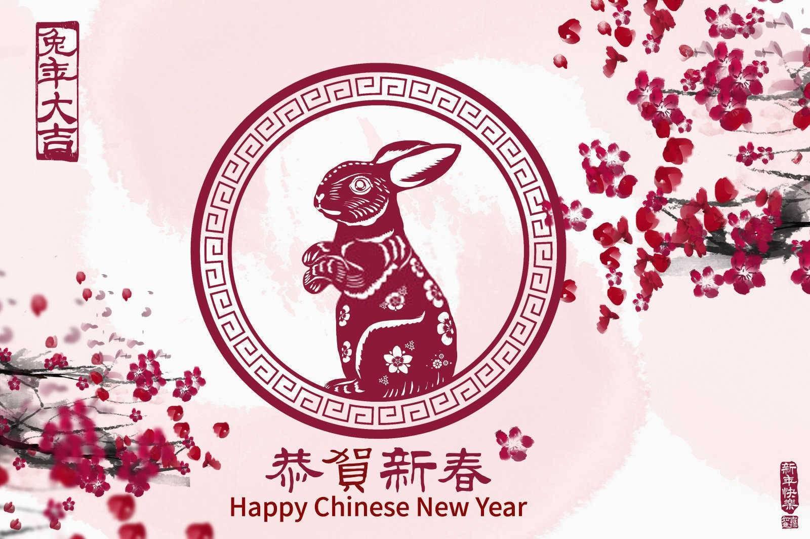 揭秘生肖财富榜：究竟哪个属相的女性财运最为旺盛？