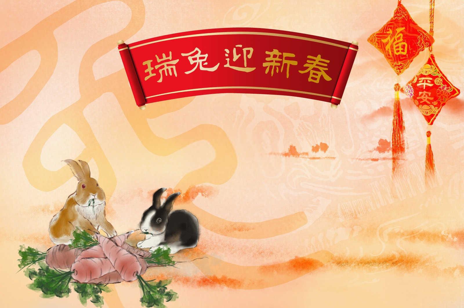 二零二二年的属相是什么？