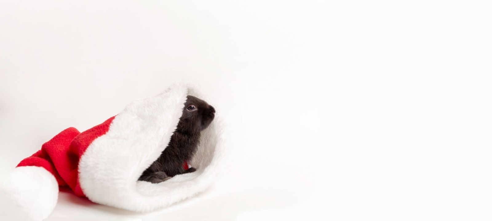 属猴人住几楼最吉利？