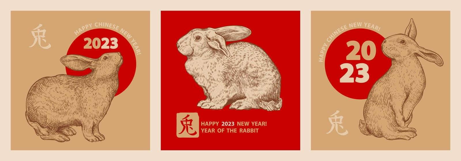 1954年属什么生肖多大了？