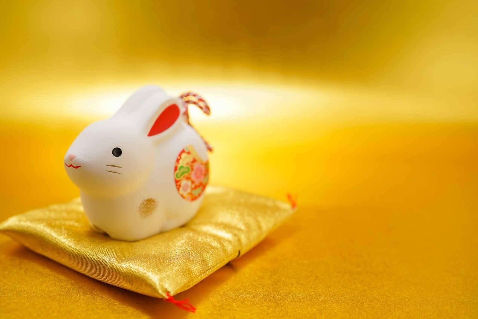 哪几个属相适合家里养猫？
