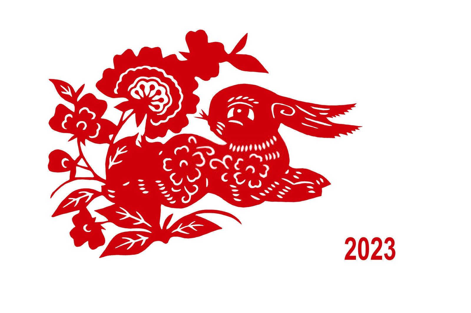 三猪共圈：探索同一家庭三个属猪成员的奇妙缘分