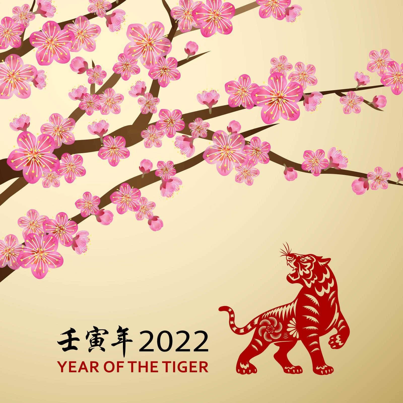 十二生肖哪个属相最好？