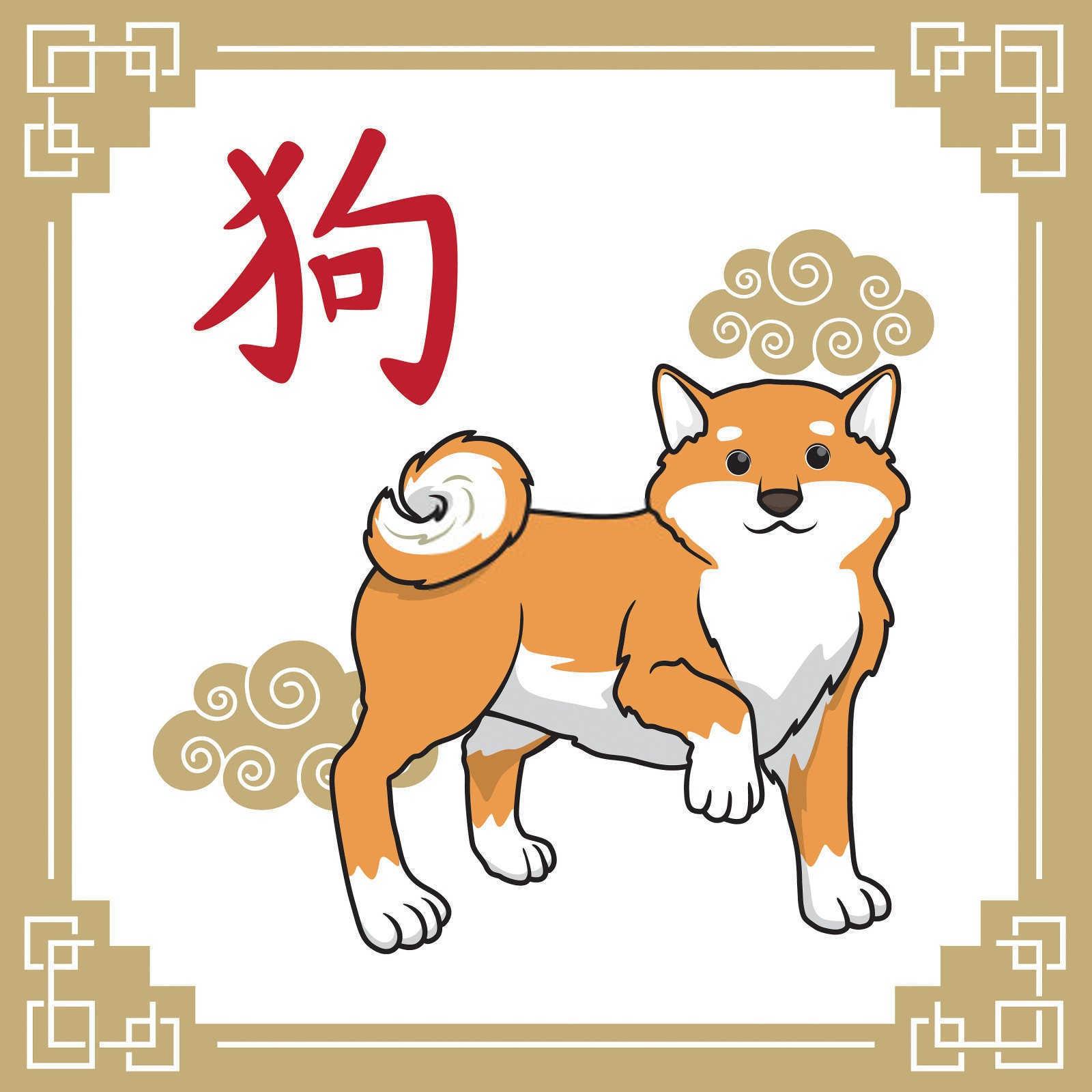 婚配之道：女属鼠婚配男属兔好不好？